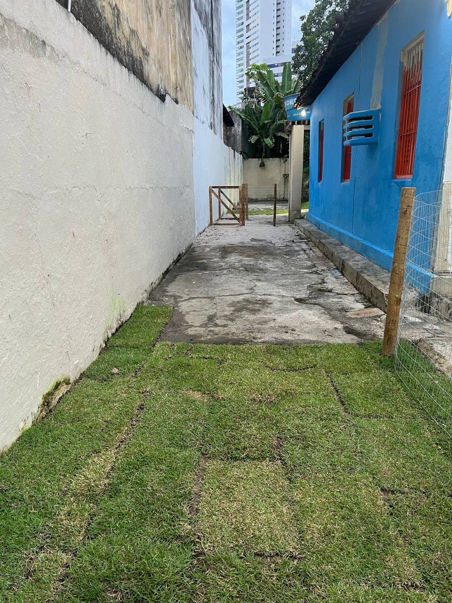 LS - Centro Educativo para Cães