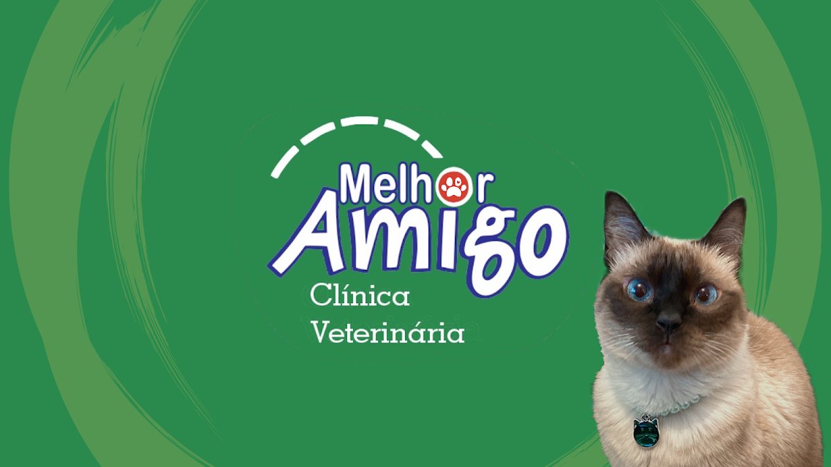 Petshop Melhor Amigo