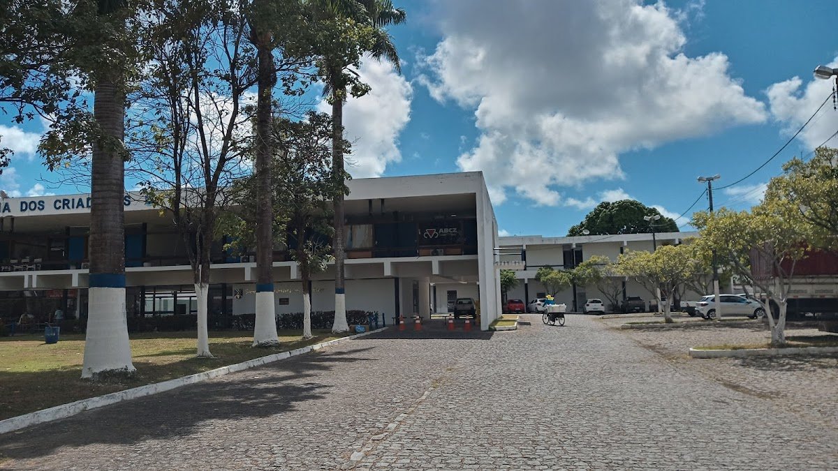Sociedade Nordestina de Criadores (Recife)