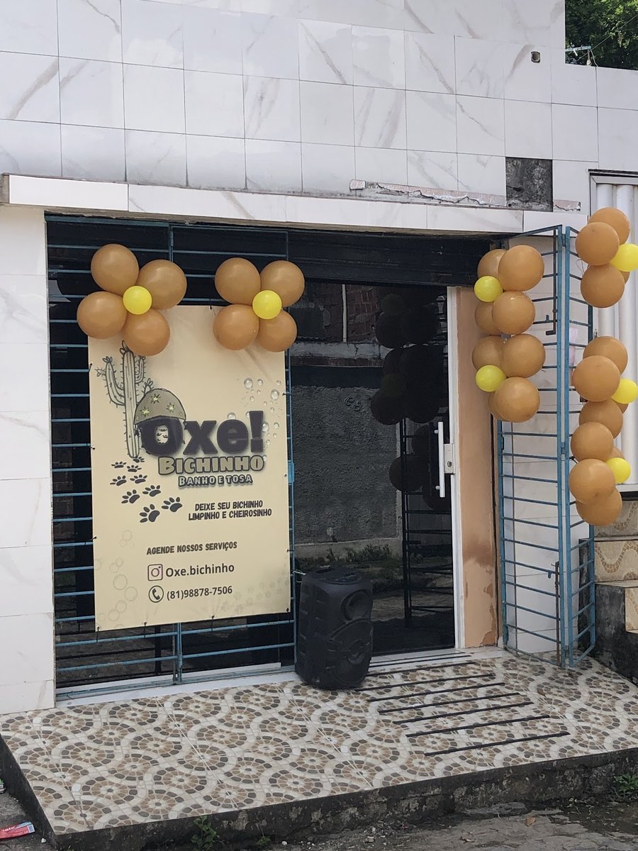 Oxe bichinho banho e tosa