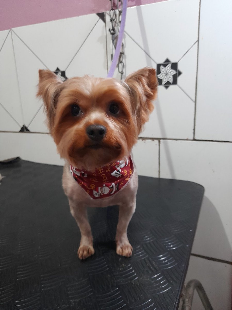 Agropecuária Rincão