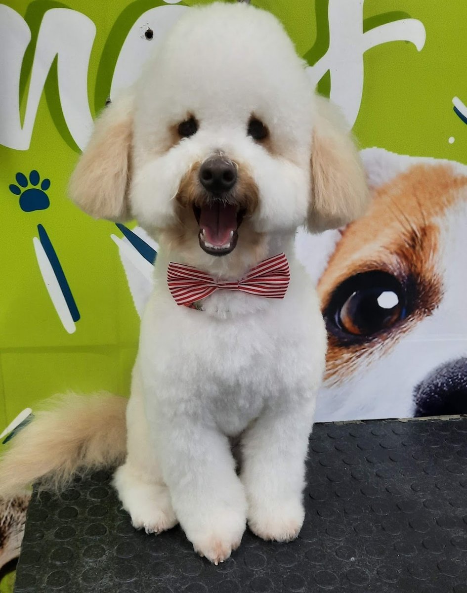 PETBEM CLÍNICA VETERINÁRIA