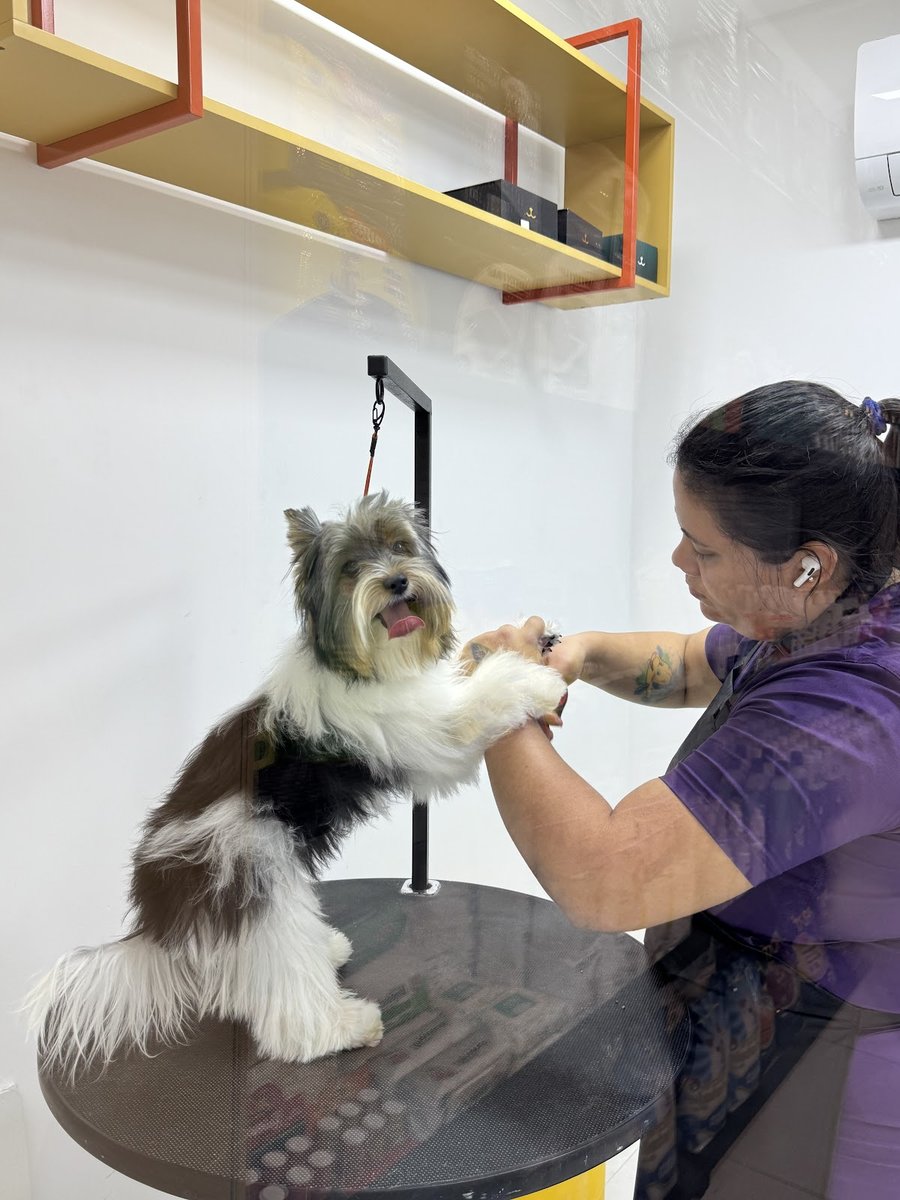 OhPet! Centro Veterinário 24h - Graças