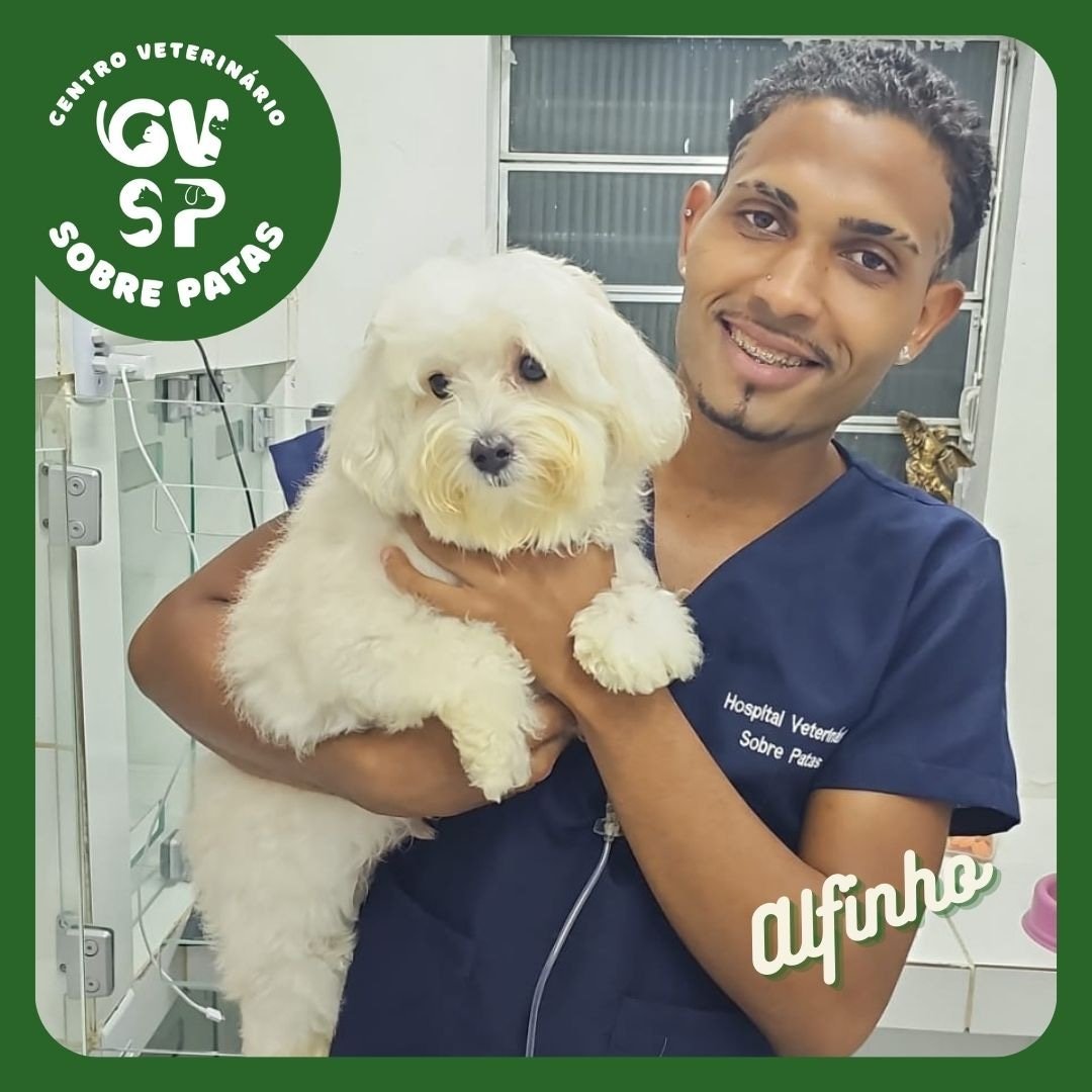 Centro Veterinário Sobre Patas