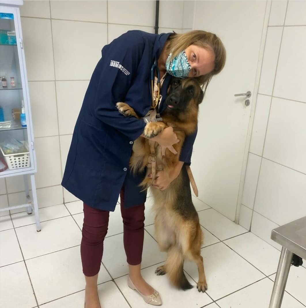 DermaPet Recife | Consultório Veterinário em Recife | Especialista em Dermatologia Veterinária