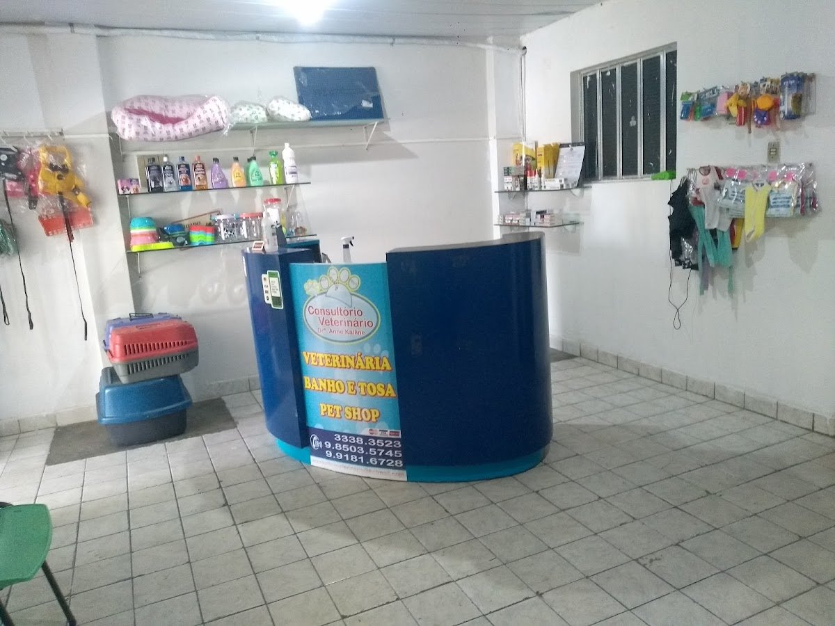 Clínica Veterinária Dra Anne Kalline