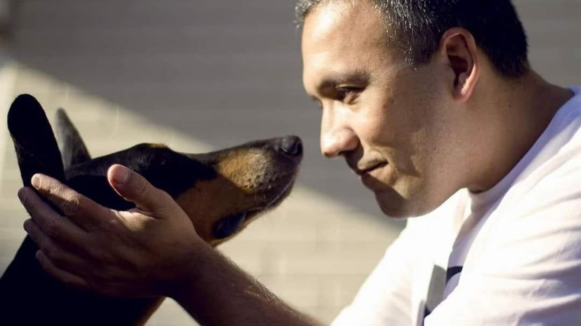 Jr Serviços Veterinários - Dr. Harry Rosa Junior