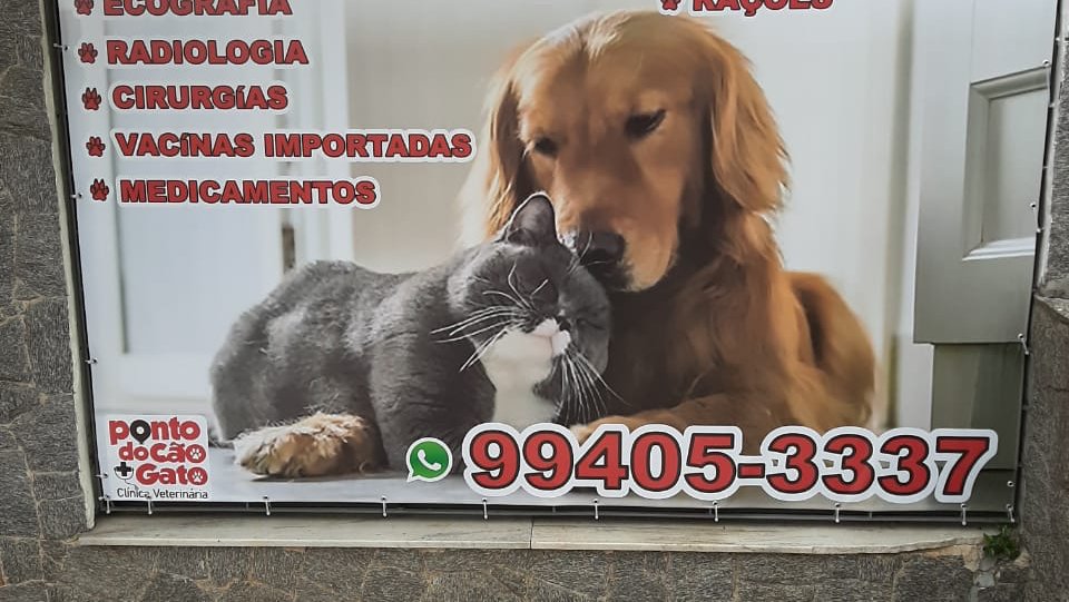 Ponto do Cão + Gato Clínica Veterinária