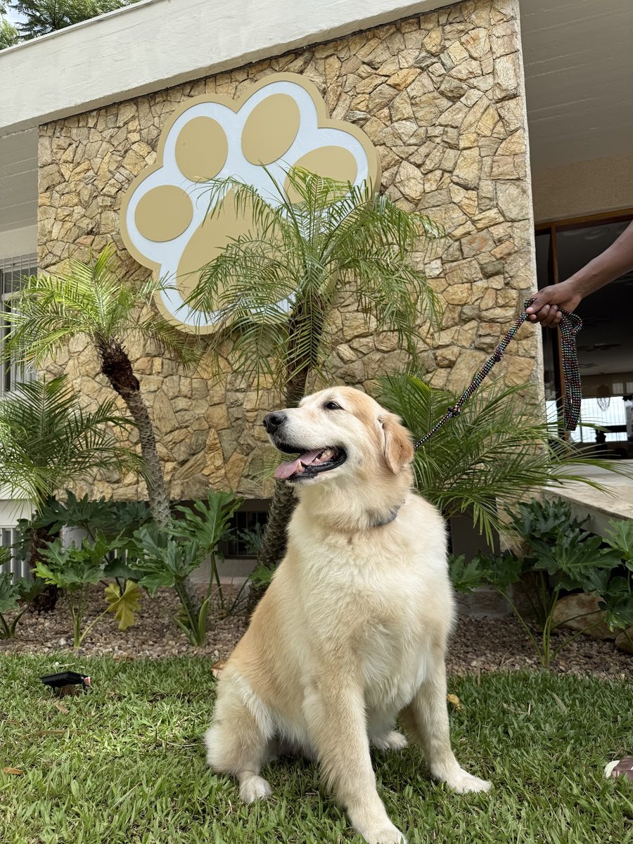 Patas Douradas Resort Creche e Hotel Pet