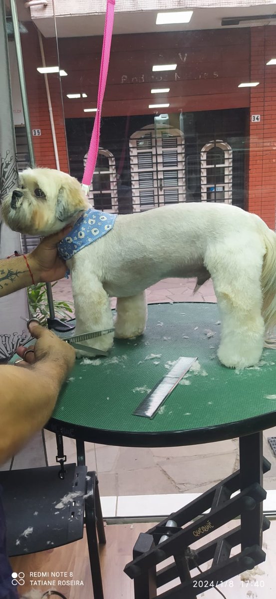 Petshop Galeria Animal