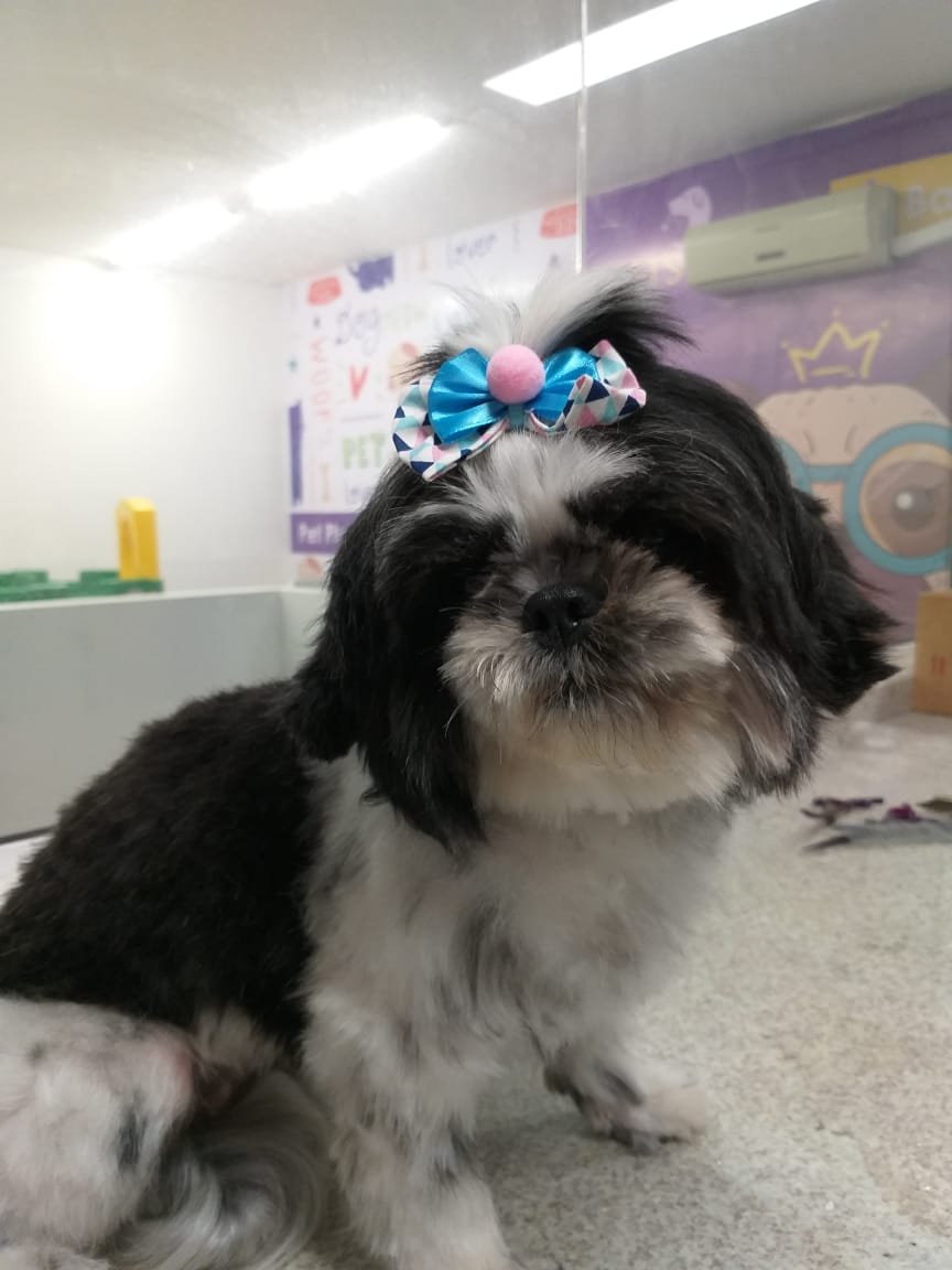 Pet's Park Pet Shop - Zona Sul