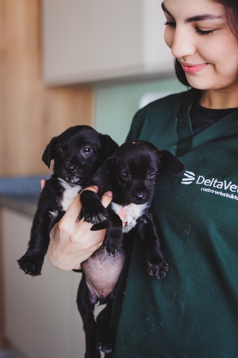 DeltaVet Centro Veterinário