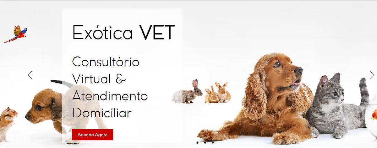 Exótica VET - Atendimento Veterinário