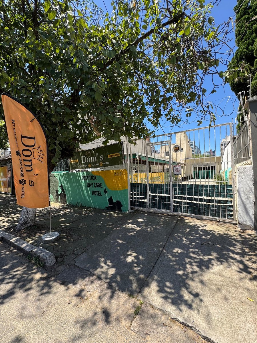 Day Care Porto Alegre Pet Dom’s