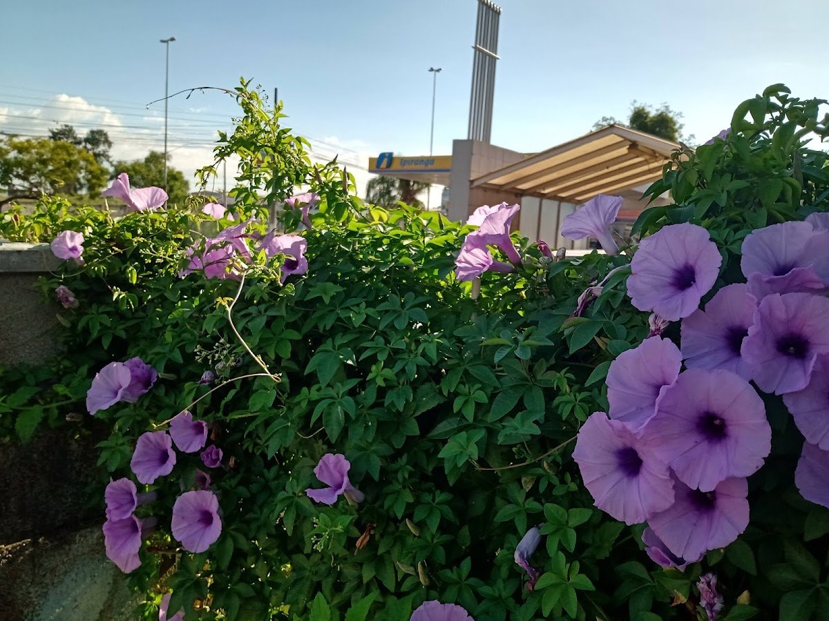 Agrosul Produtos Agropecuários