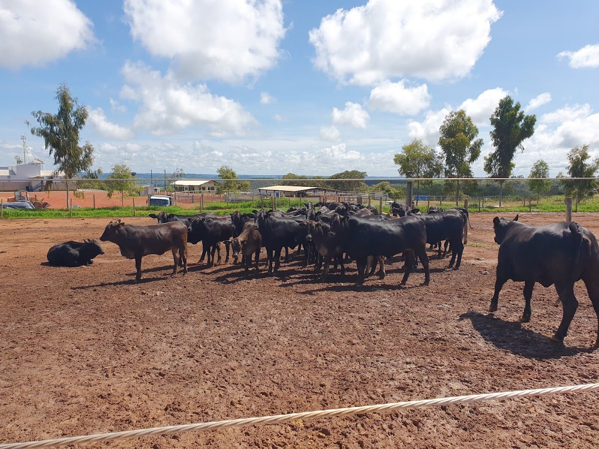 Rio Grande Agrícola S.A
