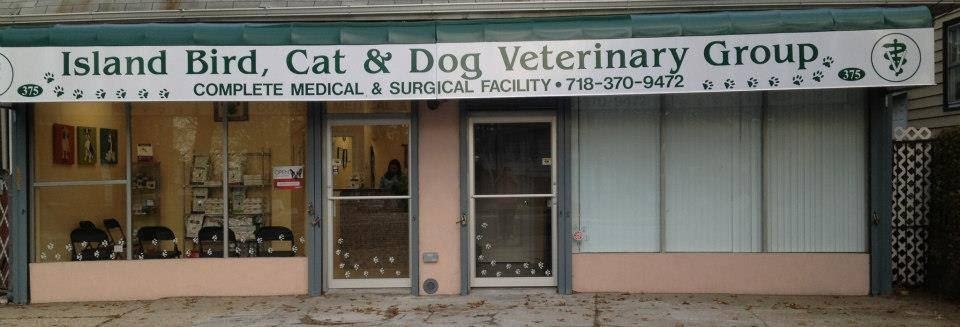 Island Bird Cat & Dog Veterinary Group