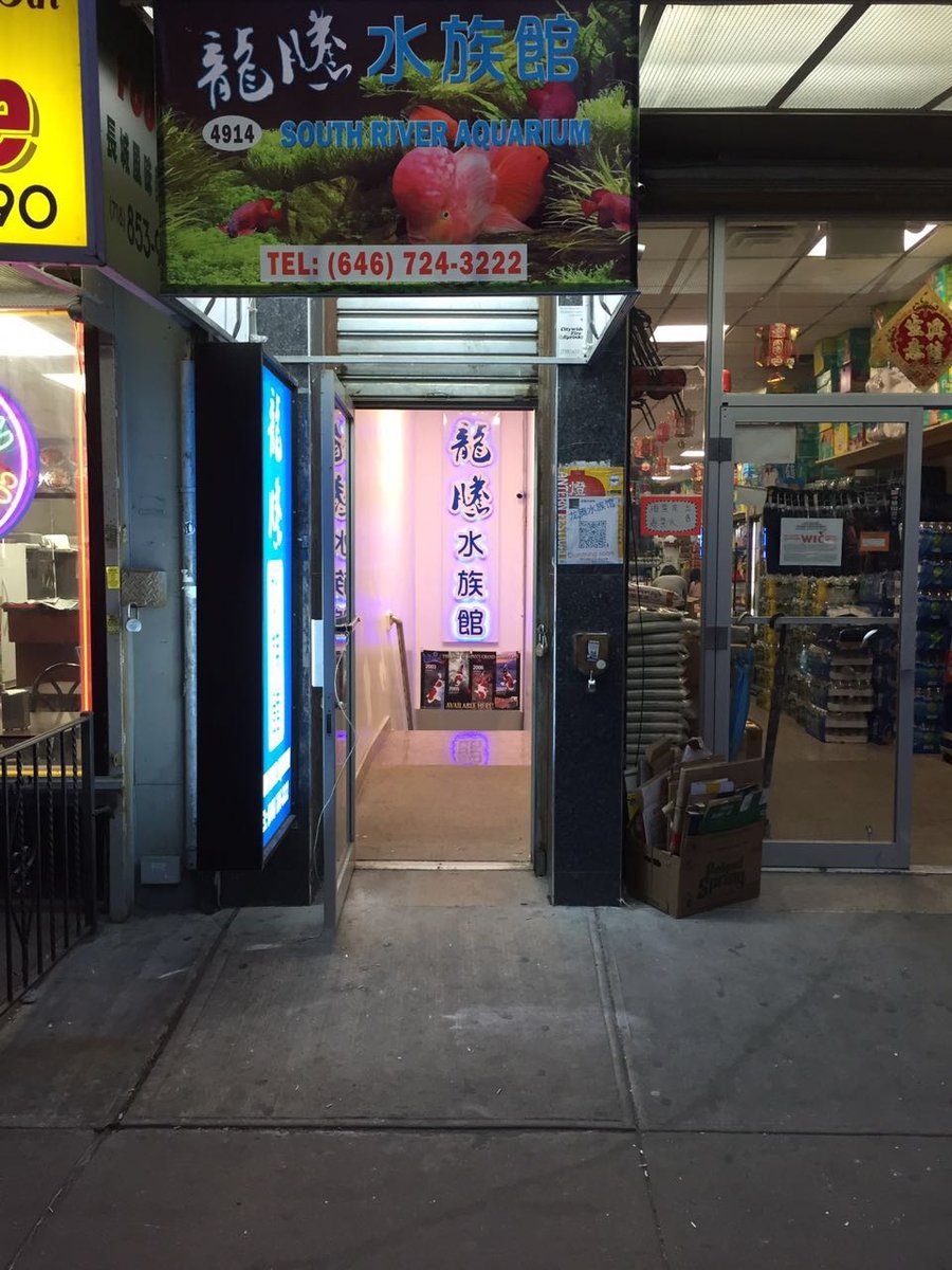 South River Aquarium