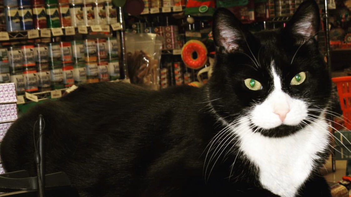 Greenland Pet (Grooming, Boarding and Supplies)