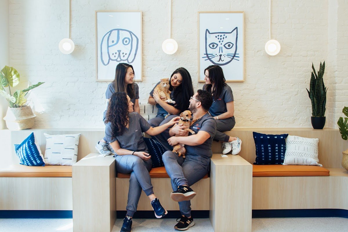 Bond Vet - Jersey City