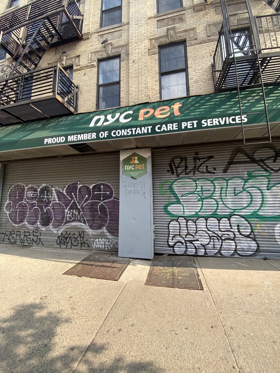 NYC Pet