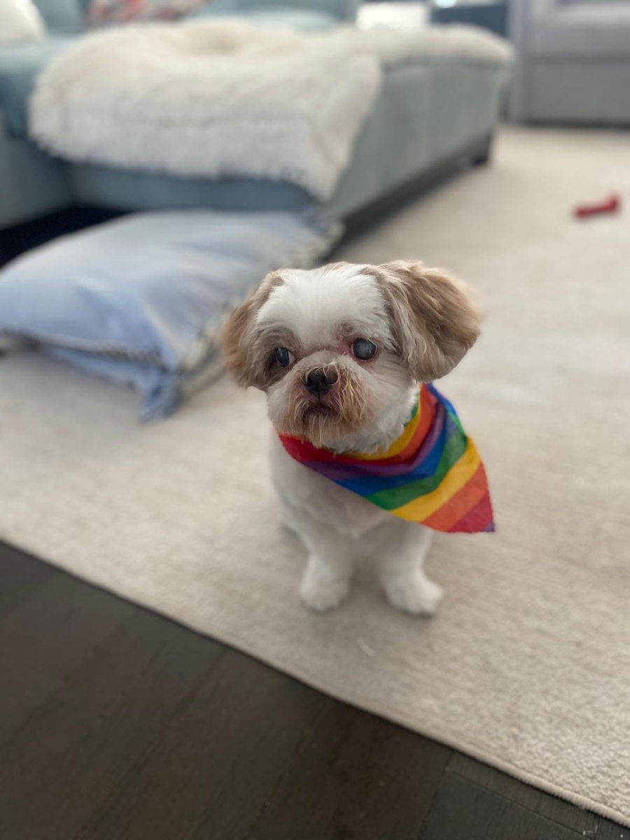 Towne House Grooming & Pet Supplies