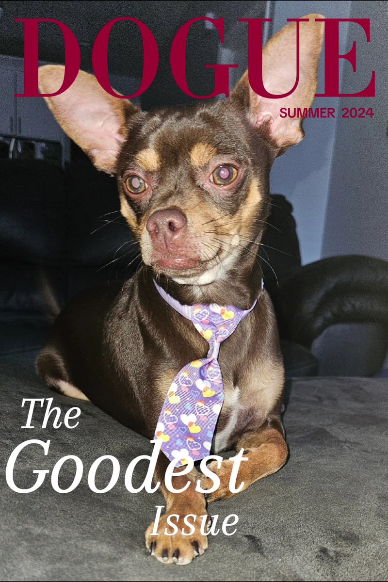 The Velvet Door Pet Spa & Boutique