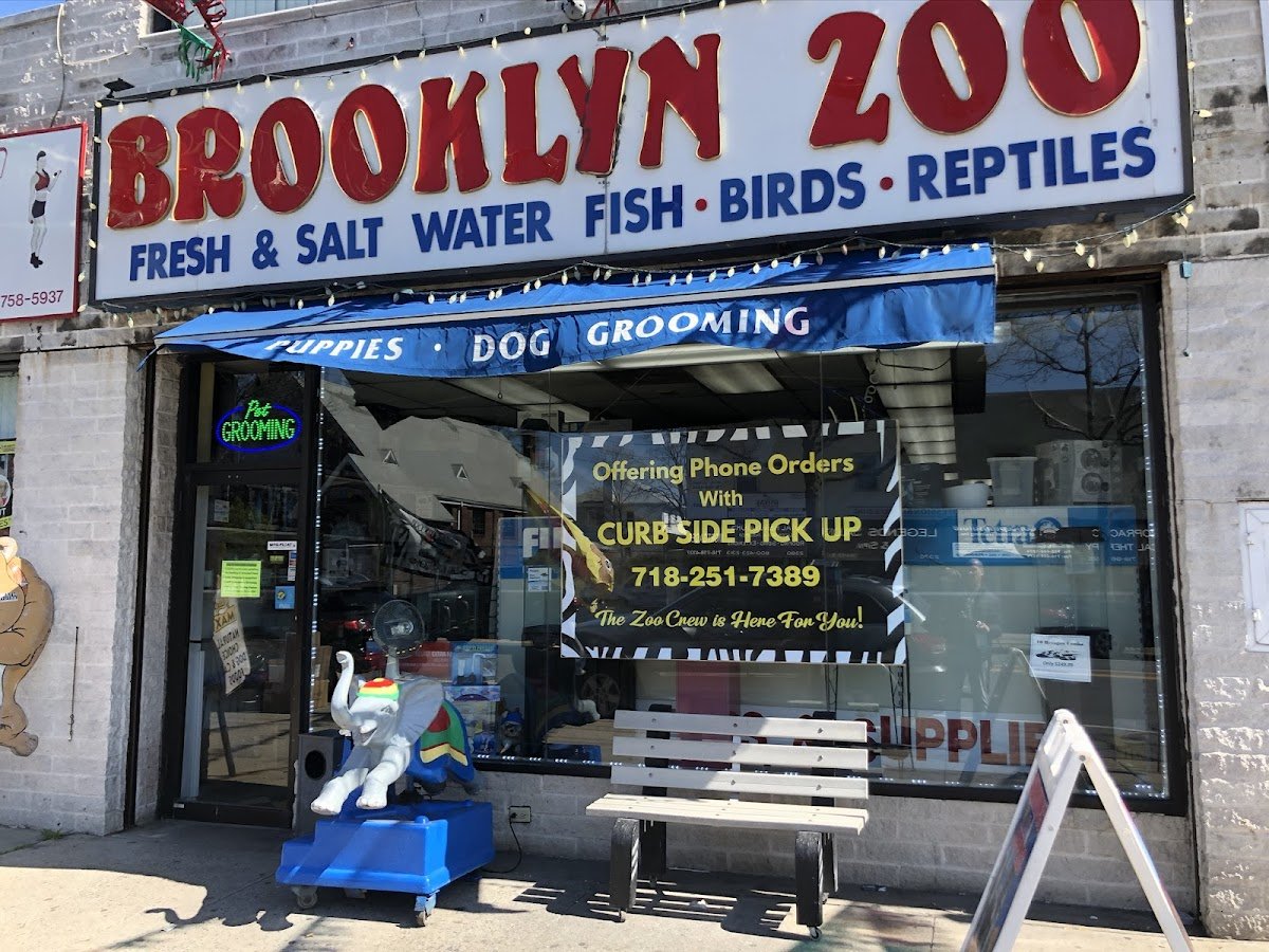 Brooklyn Zoo & Aquarium Pet Store
