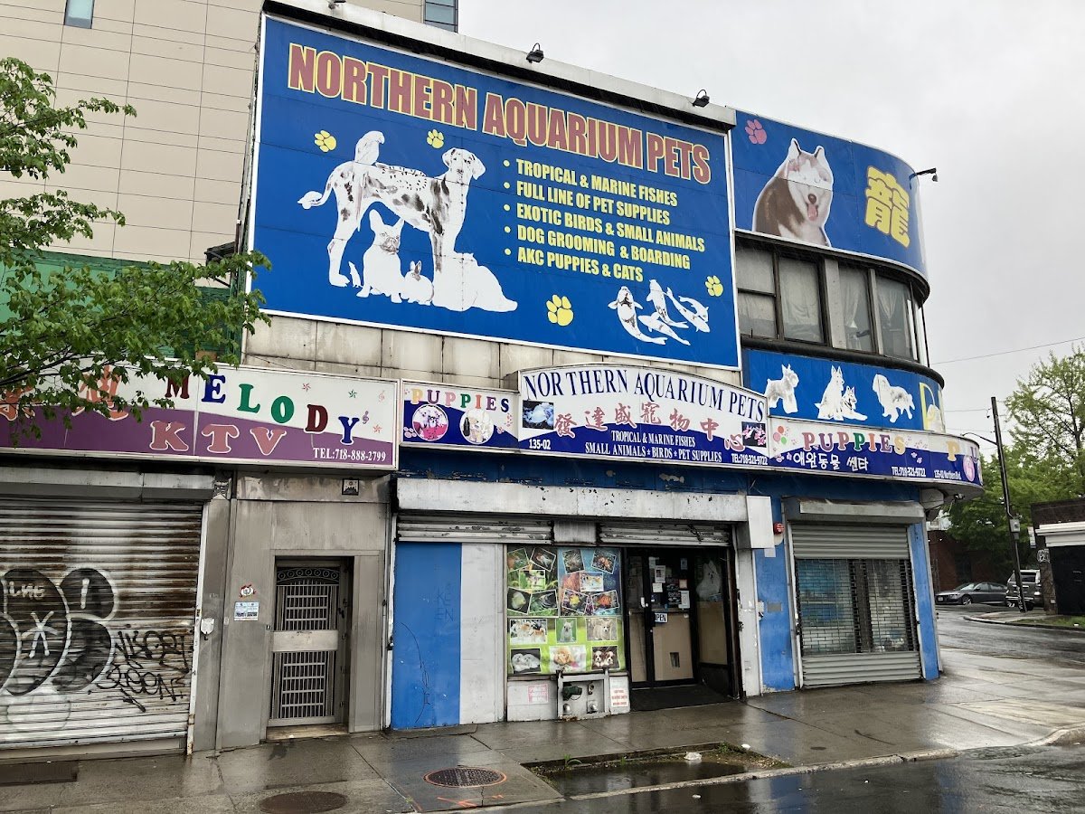 Northern Aquarium pet