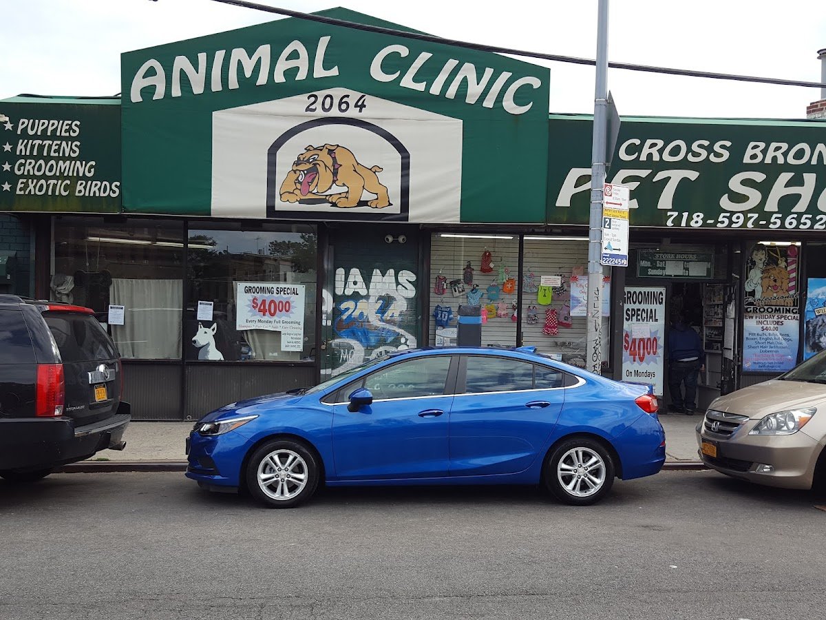 Cross Bronx Pet Shop