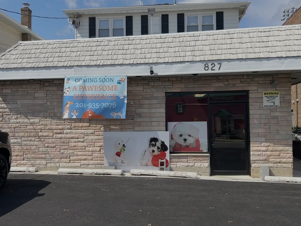 Pawesome Pet Spa rebranded A Pawesome Experience