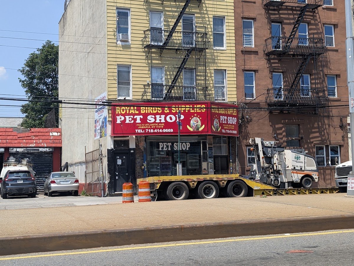 Royal Birds & Supplies