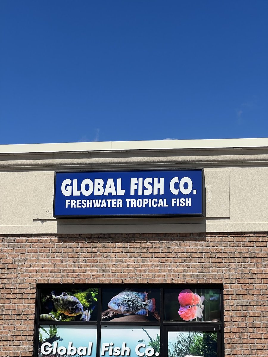 Global Fish Co.