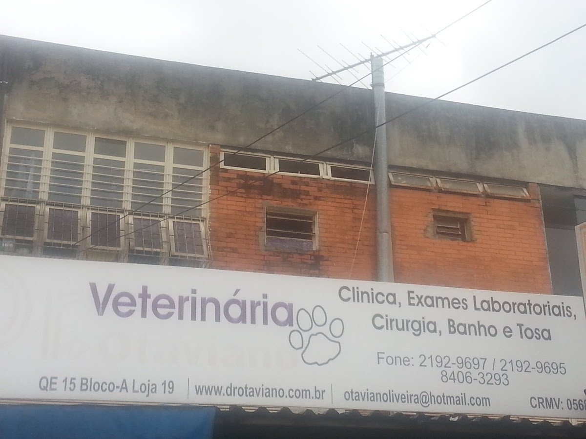 Veterinária Dr. Otaviano