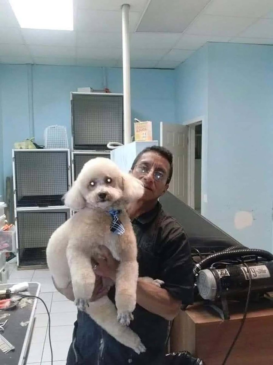 Pet Central Express Inc