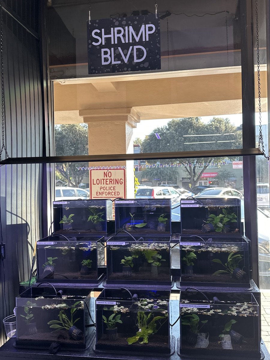 Art’s Underwater Reef