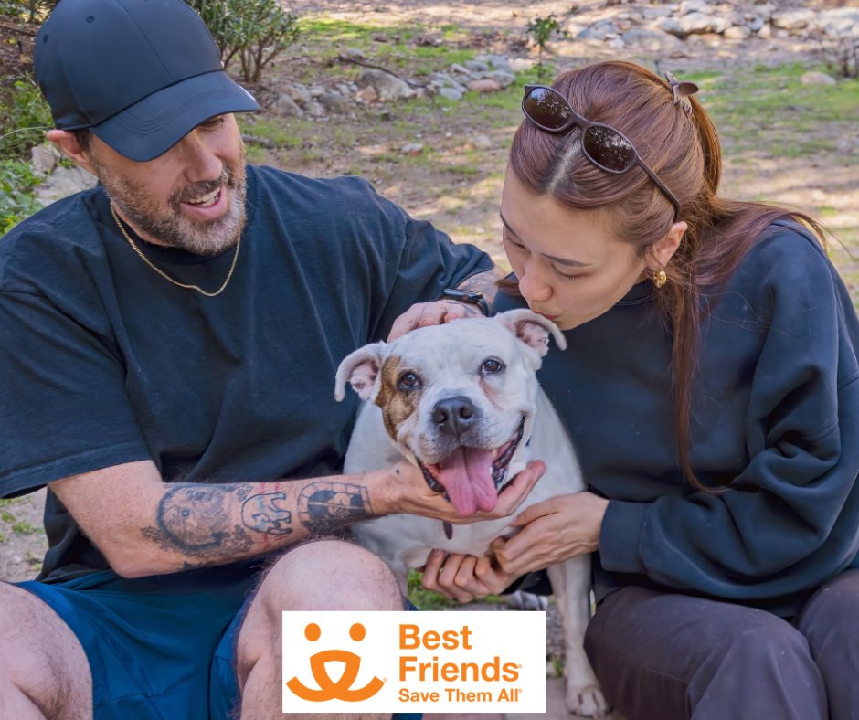 Best Friends Pet Adoption Center