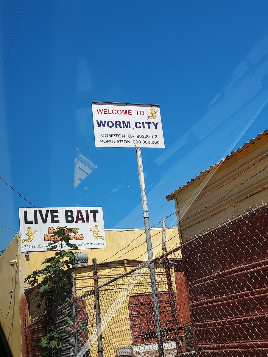 Rainbow Reptile Store