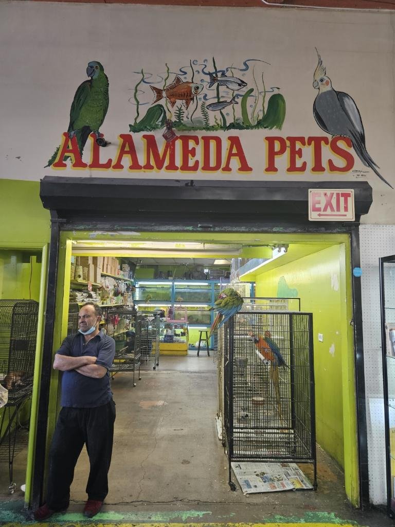 Pet shop Los angelitos