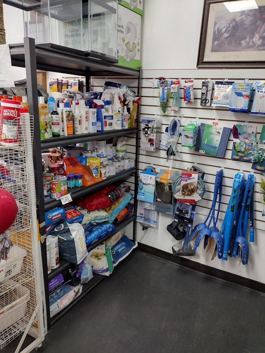 Distributors feed pet club