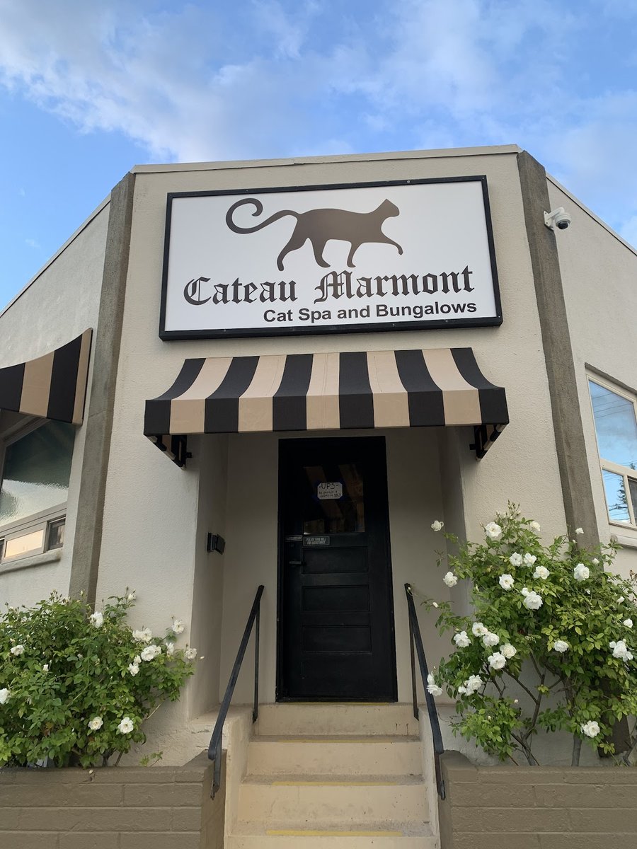 Cat Boarding Los Angeles, Cat Grooming Los Angeles, Cat & Pet Hotel, Cat Boarding Burbank & Los Feliz : Cateau Marmont