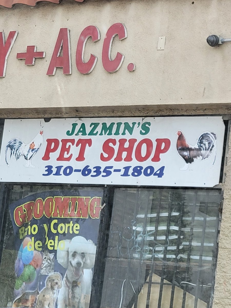 Jasmin's Pet Store & Grooming