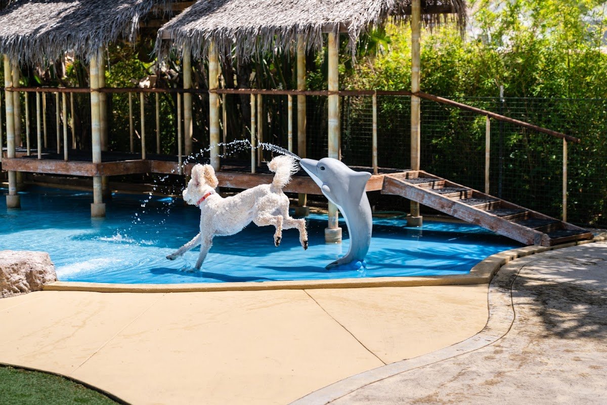 Paradise Ranch Pet Resort