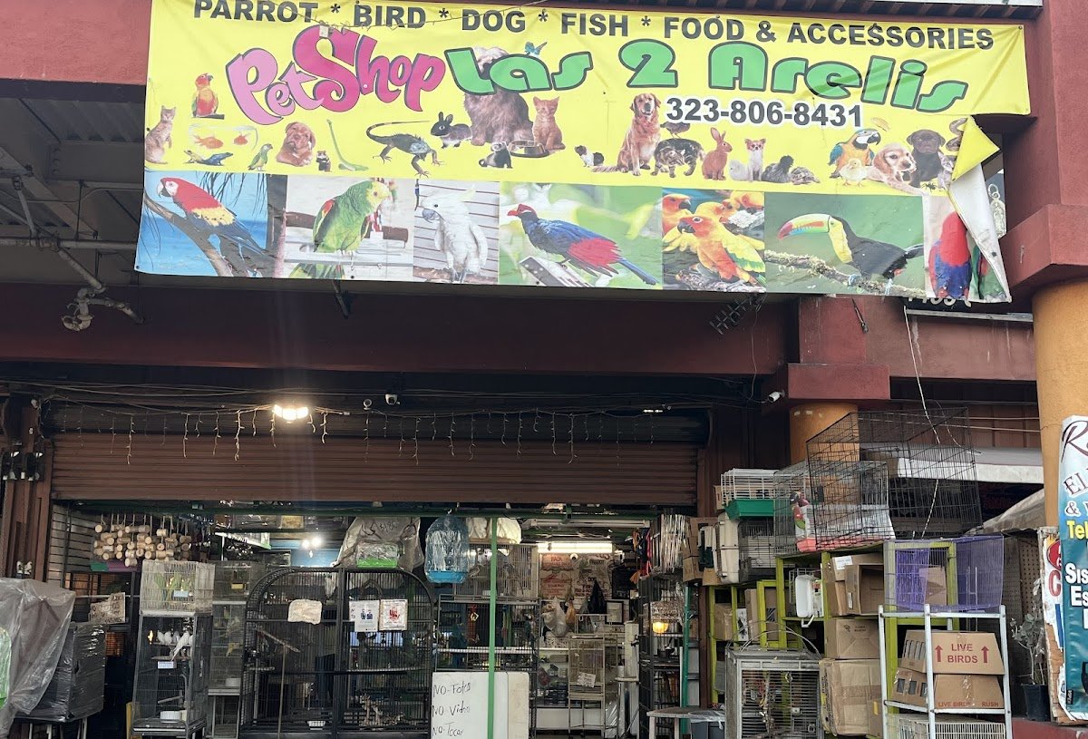 Las Dos Arelis Pet Shop & Exotic Birds
