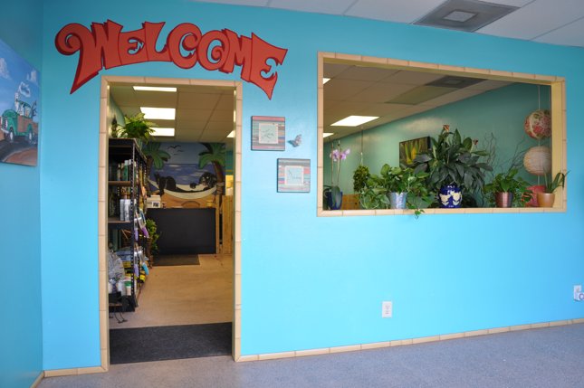 CALIFORNIA GROOMING LLC Culver City Groomer