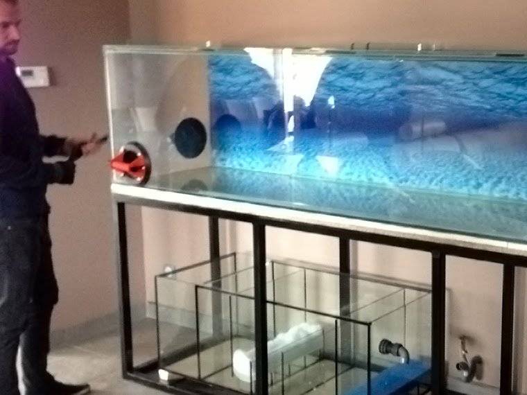 Aquatech Aquarium Service