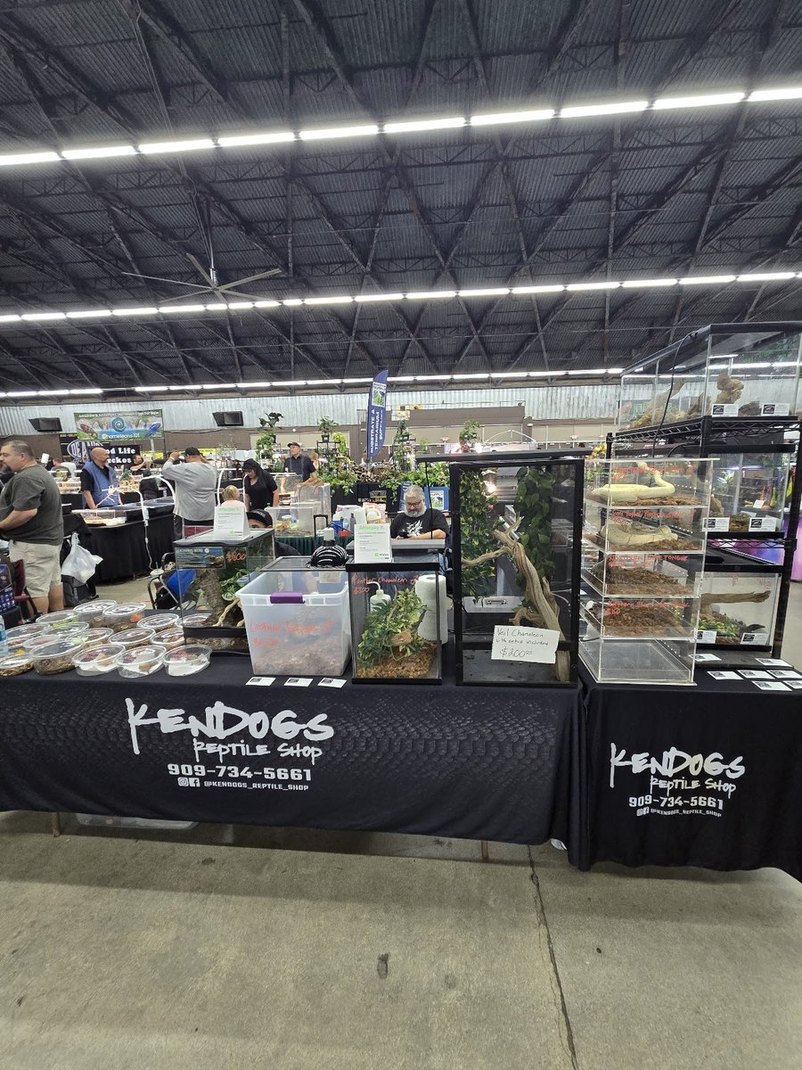 Kendog's Reptile Shop