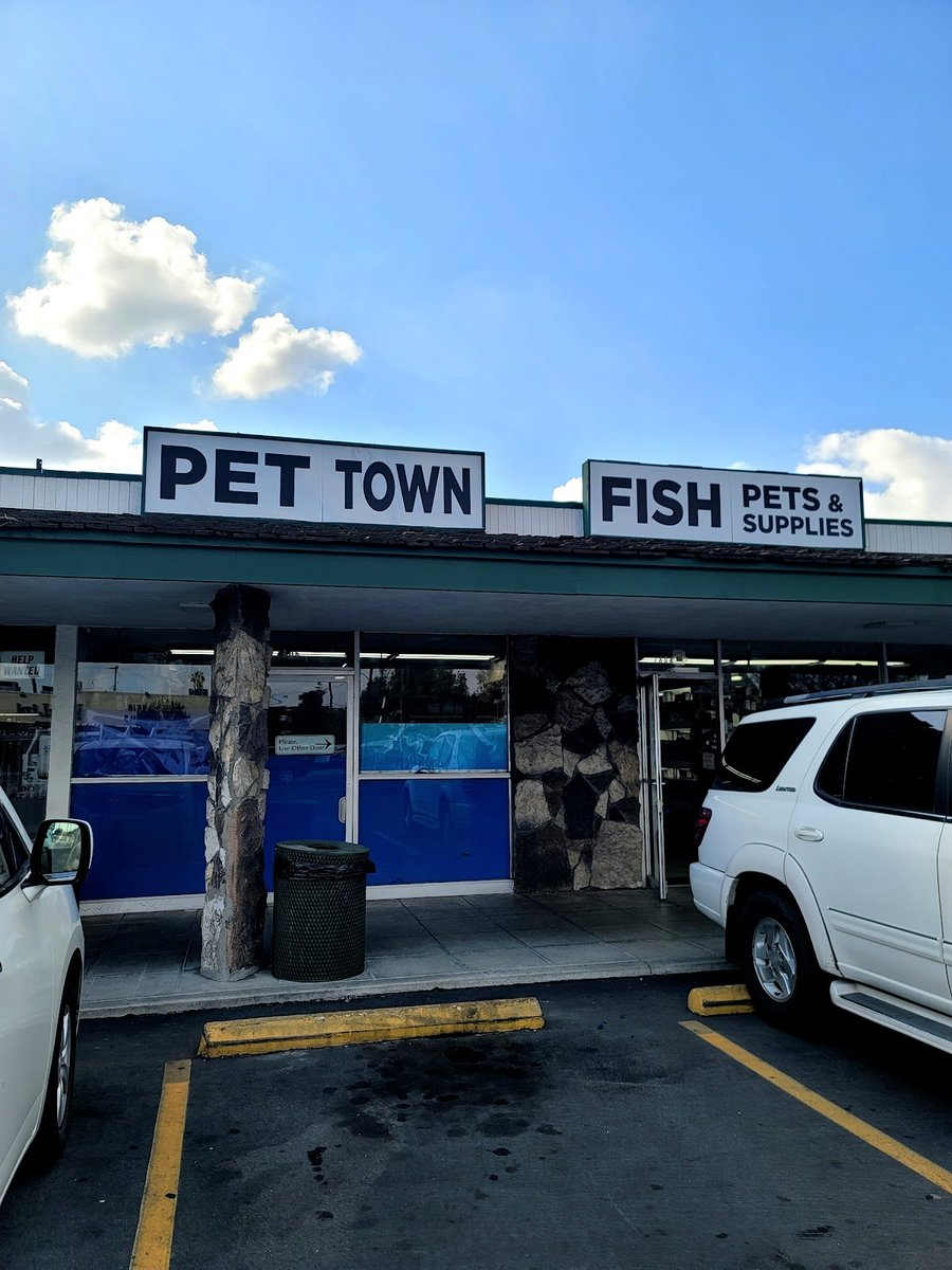Pet Town