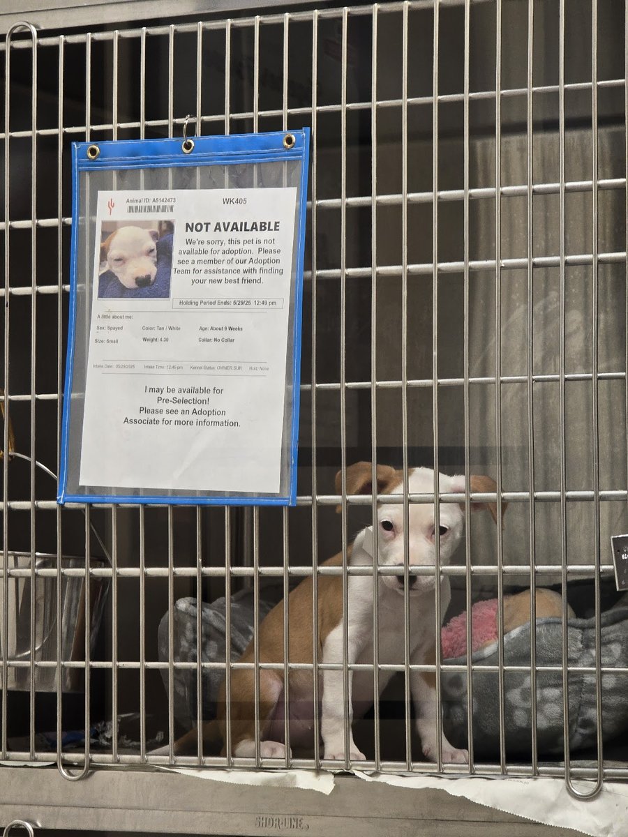 Maricopa County Animal Care and Control - West Valley Shelter