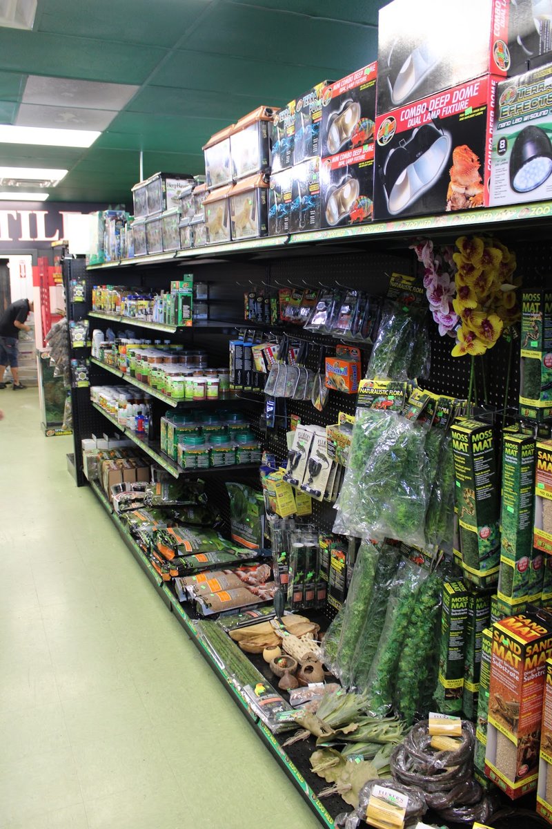 Scales 'N Tails Phoenix Central